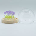Floral Glow Garden Dome - 20 Tulips - LED USB