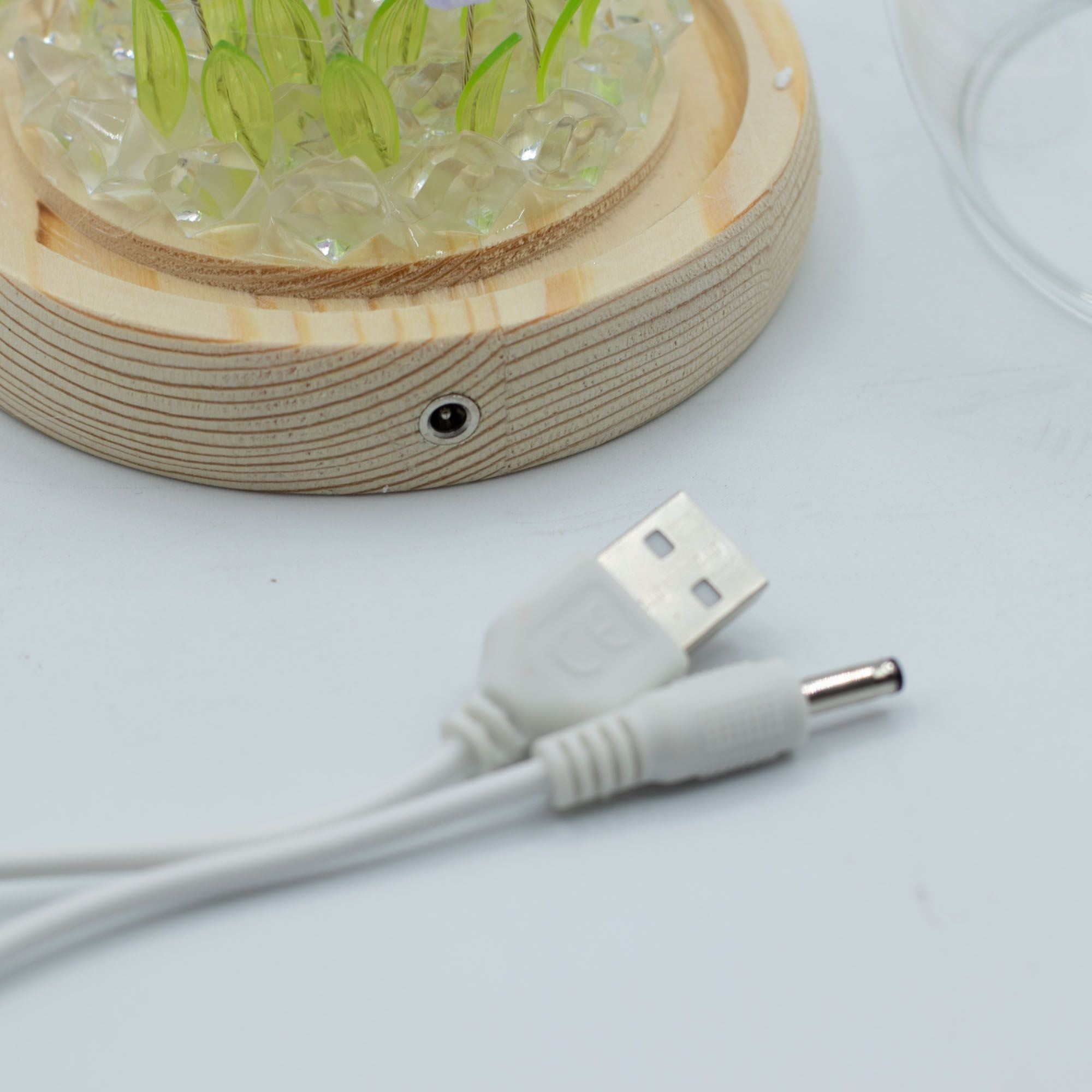 Floral Glow Garden Dome - 20 Tulips - LED USB